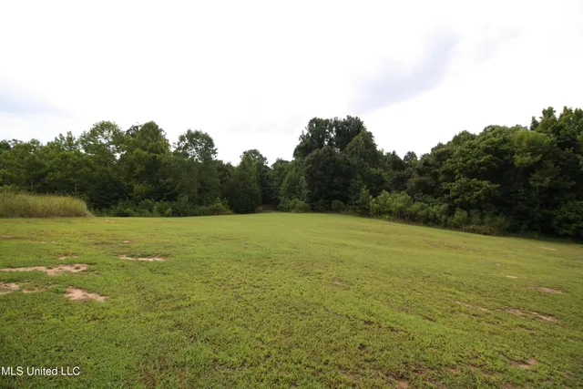 $550,000 | 317 Lakeview Drive, Yazoo City, MS 39194