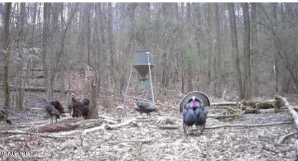 $550,000 | 317 Lakeview Drive, Yazoo City, MS 39194