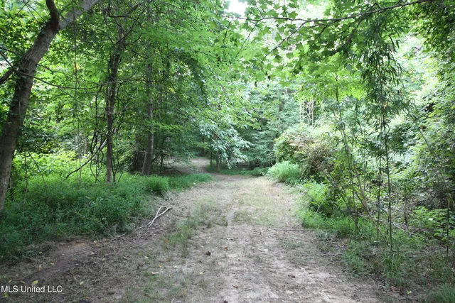 $550,000 | 317 Lakeview Drive, Yazoo City, MS 39194