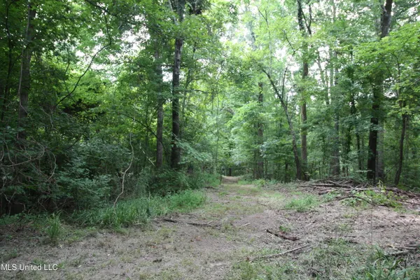 $550,000 | 317 Lakeview Drive, Yazoo City, MS 39194