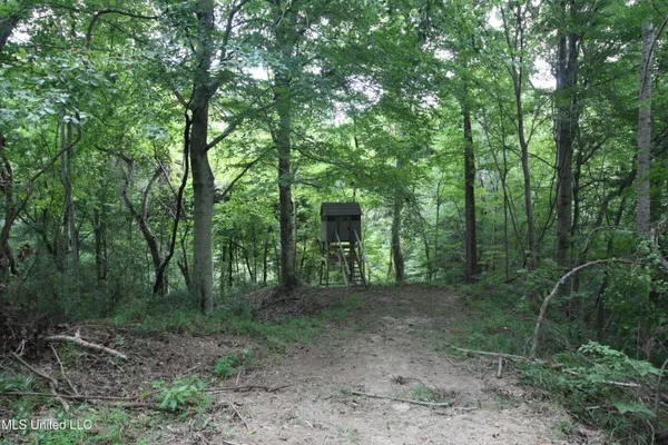 $550,000 | 317 Lakeview Drive, Yazoo City, MS 39194