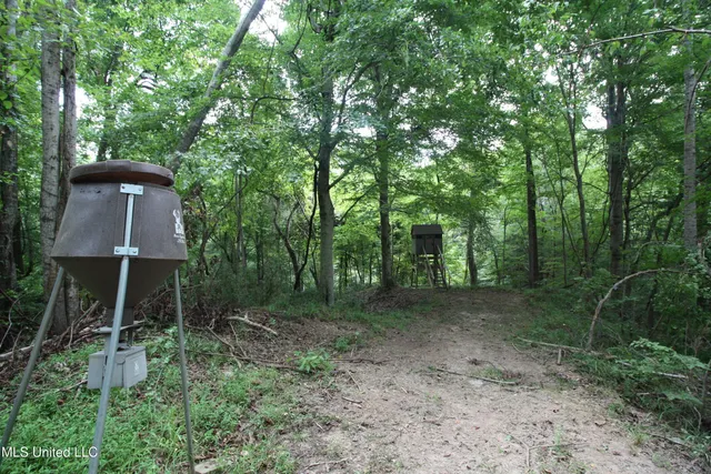 $550,000 | 317 Lakeview Drive, Yazoo City, MS 39194