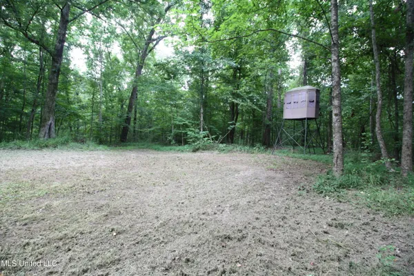 $550,000 | 317 Lakeview Drive, Yazoo City, MS 39194