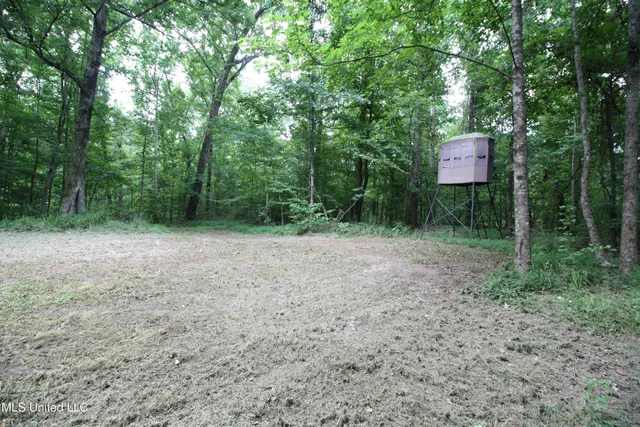 $550,000 | 317 Lakeview Drive, Yazoo City, MS 39194