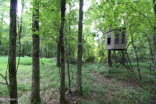 $550,000 | 317 Lakeview Drive, Yazoo City, MS 39194