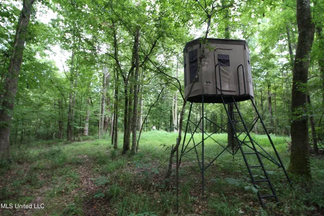 $550,000 | 317 Lakeview Drive, Yazoo City, MS 39194