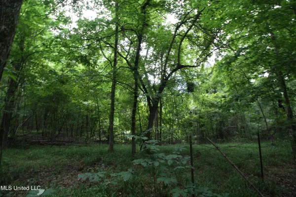 $550,000 | 317 Lakeview Drive, Yazoo City, MS 39194