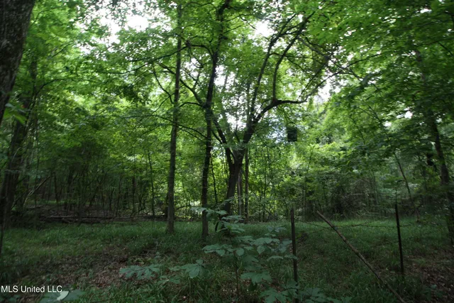 $550,000 | 317 Lakeview Drive, Yazoo City, MS 39194