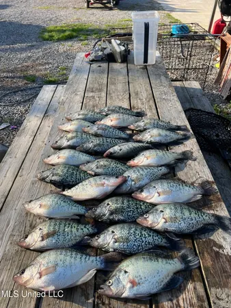 $550,000 | 317 Lakeview Drive, Yazoo City, MS 39194