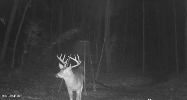 $550,000 | 317 Lakeview Drive, Yazoo City, MS 39194