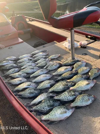 $550,000 | 317 Lakeview Drive, Yazoo City, MS 39194