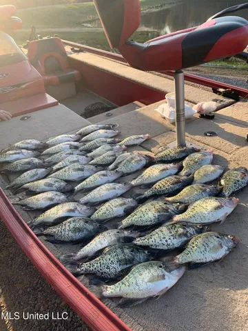 $550,000 | 317 Lakeview Drive, Yazoo City, MS 39194