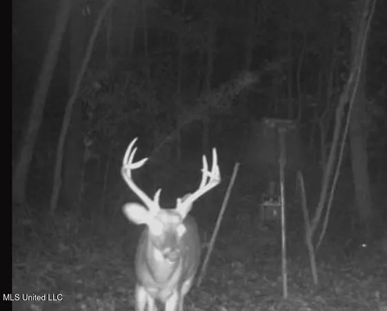 $550,000 | 317 Lakeview Drive, Yazoo City, MS 39194