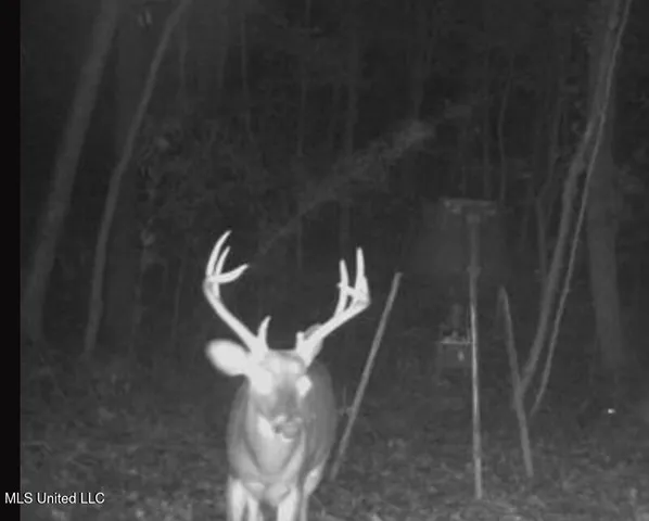 $550,000 | 317 Lakeview Drive, Yazoo City, MS 39194