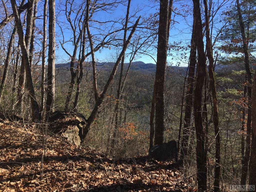 Tbd Strawberry Hill Road Cullowhee, NC 28723 - Photo 6 of 27 Gallery Image 6