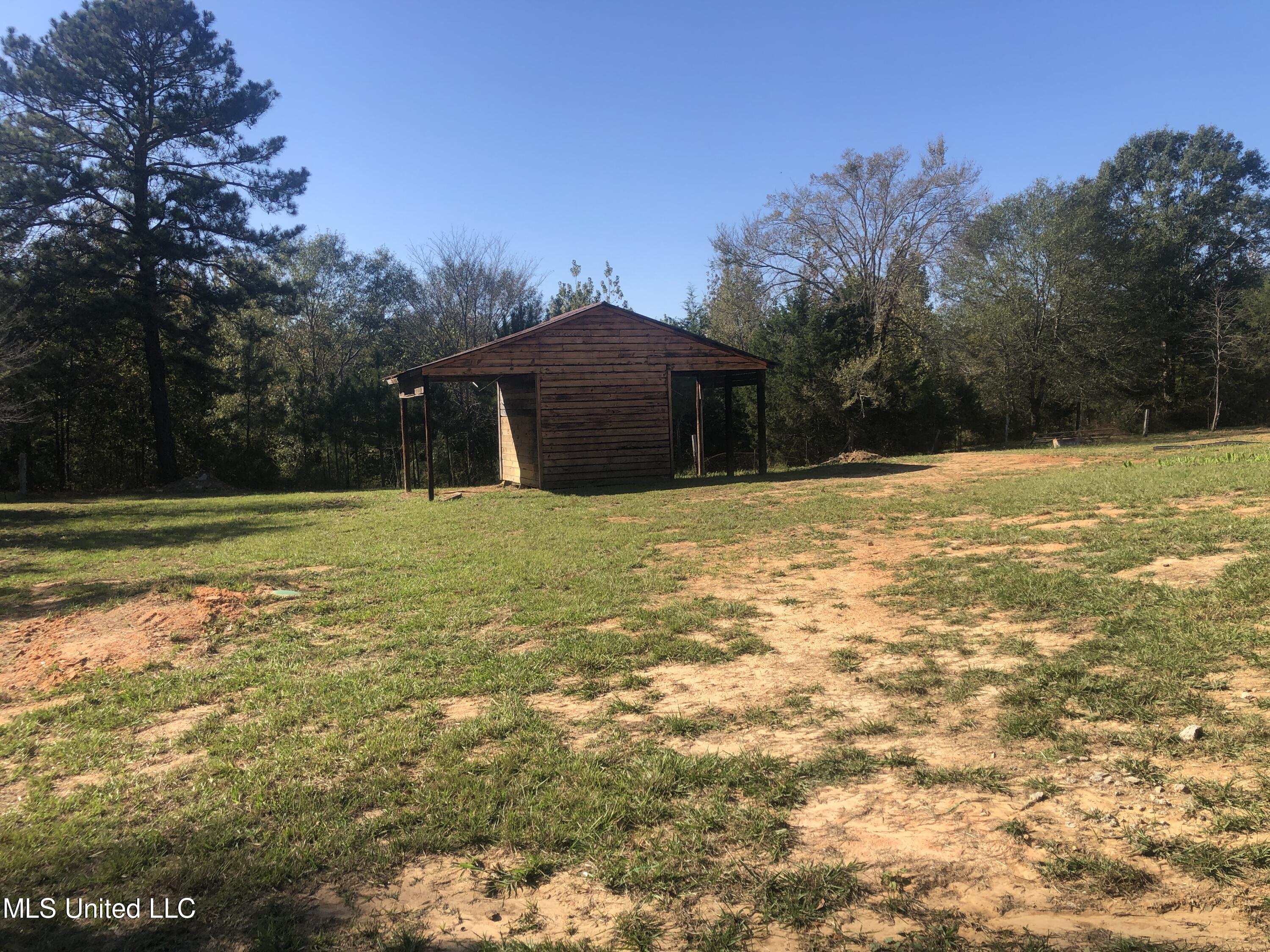 401 Price Road Carthage, MS 39051 - Photo 26 of 29 IMG_7052