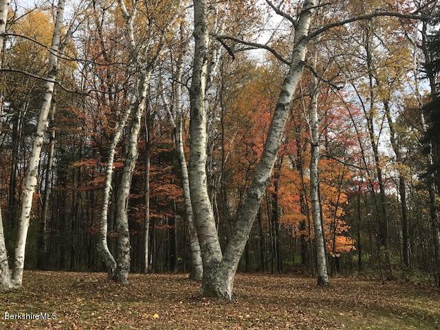 1256 Simonds Road Williamstown, MA 01267 - Photo 36 of 39 IMG_3483