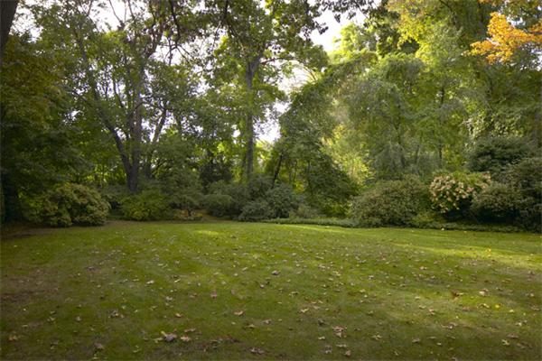 85 Juniper Road Belmont, MA 02478 - Photo 15 of 15 Gallery Image 15