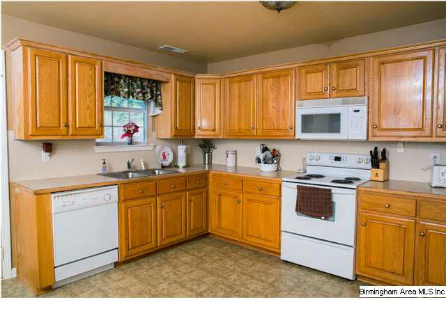 495 Reid Road Trafford, AL 35172 - Photo 3 of 21