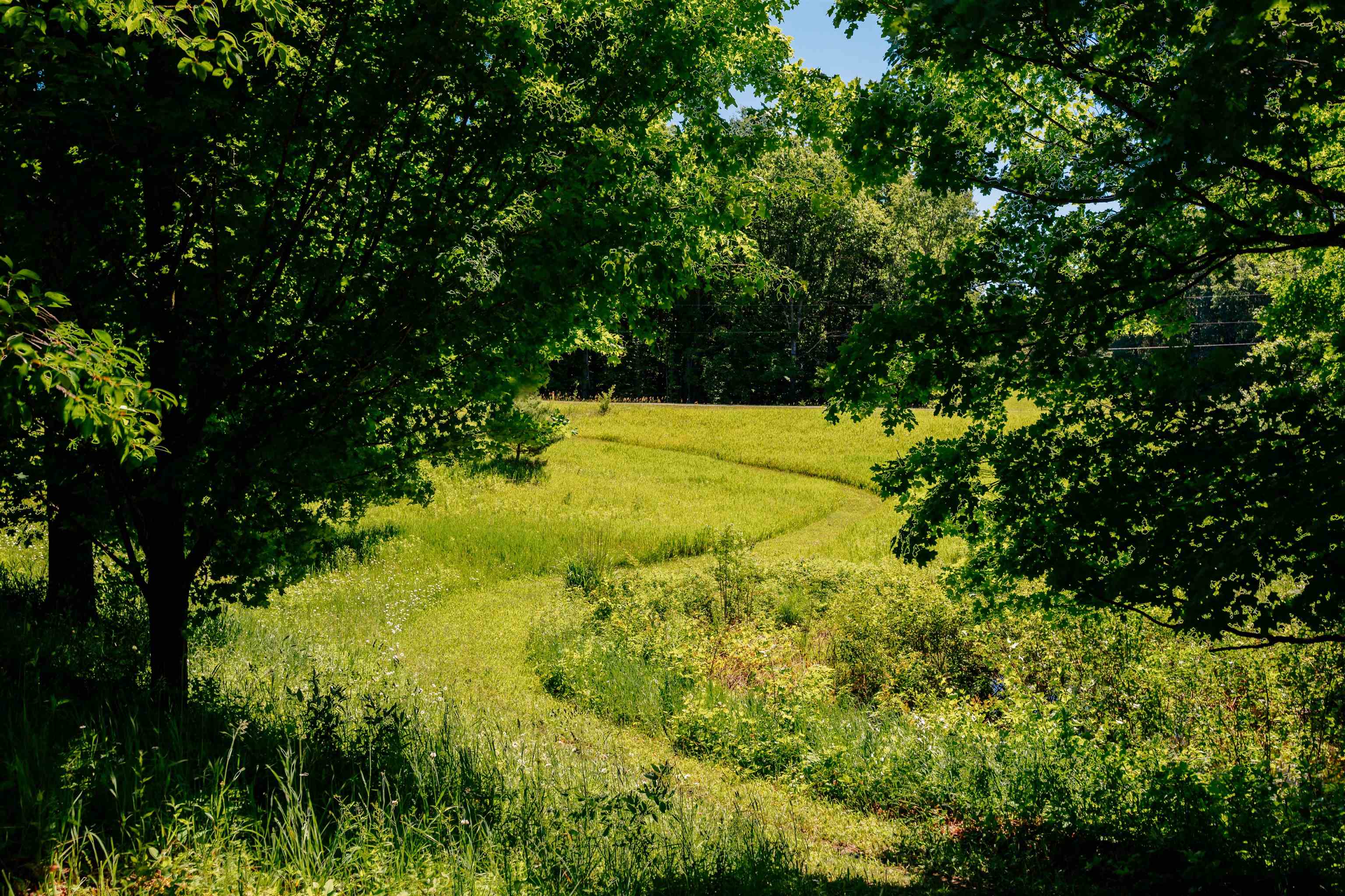 1133 Dracka Road Traverse City, MI 49685 - Photo 67 of 87 1947178-143f70b7-048f-428f-a8f9-b7c34ed7e9a8.JPG
