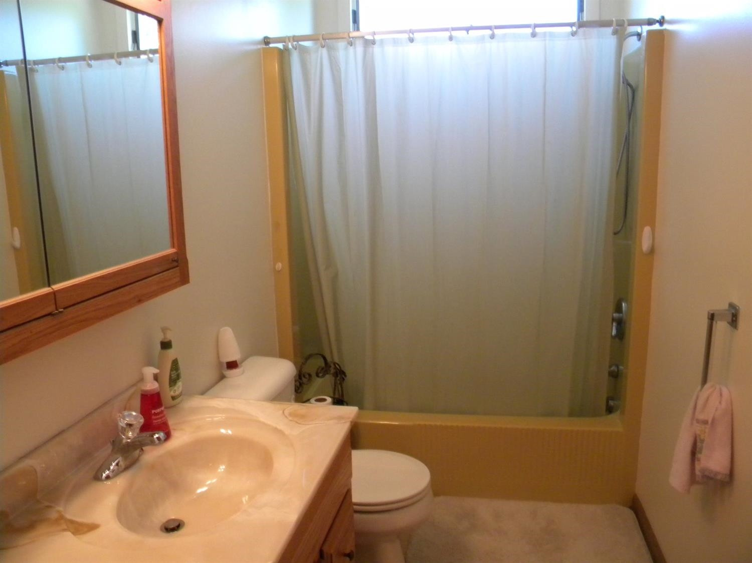 18421 Sharon Valley Road Manchester, MI 48158 - Photo 5 of 10 Photo 5