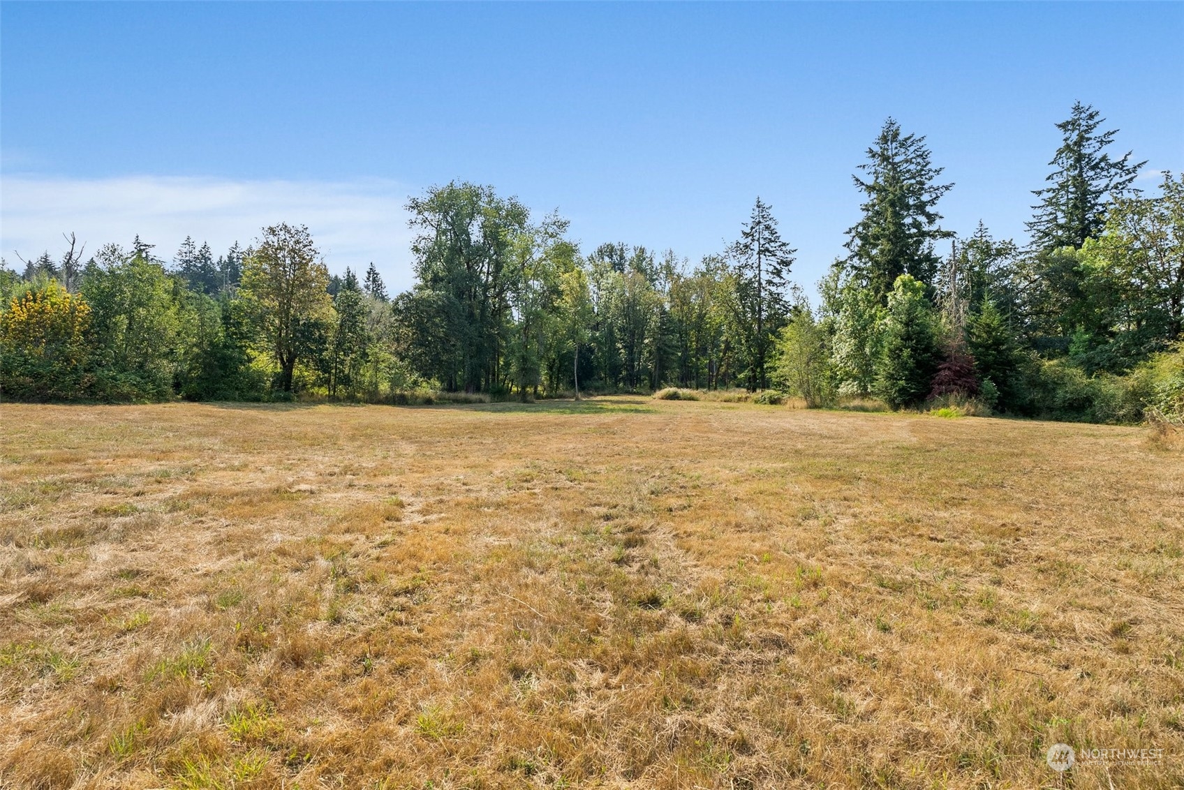7202 Waldrick Road Southeast Tenino, WA 98589 - Photo 8 of 29 Gallery Image 8