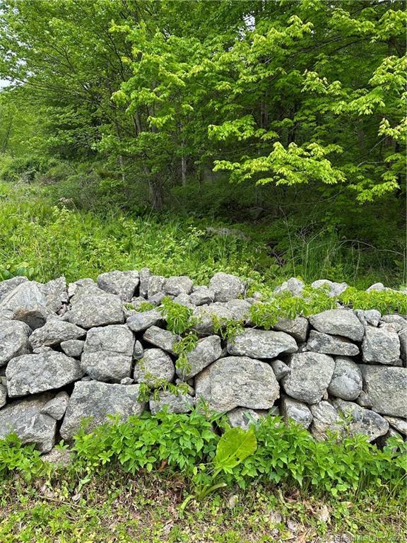 a view of a green field with lots of bushes