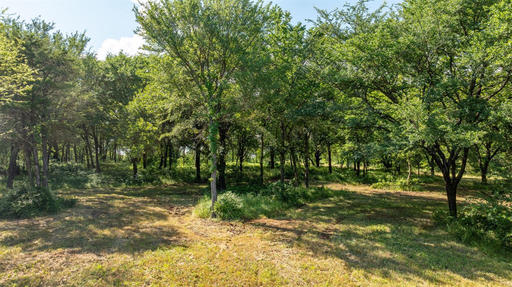 455 East Pilot Point Pilot Point, TX 76258 - Photo 11 of 31