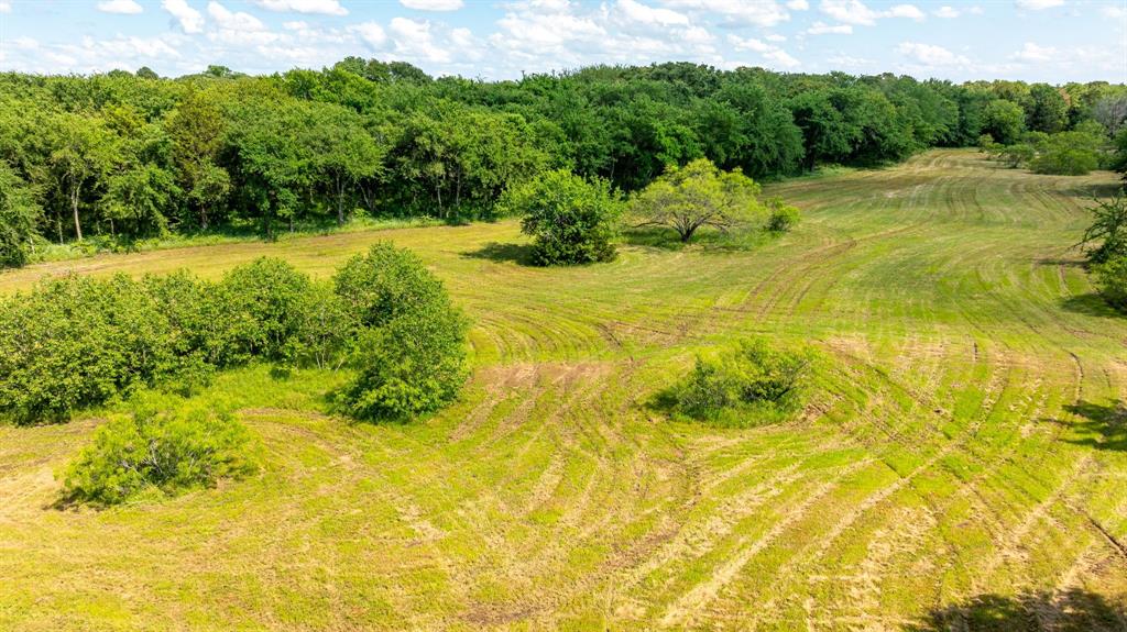 455 East Pilot Point Pilot Point, TX 76258 - Photo 14 of 31