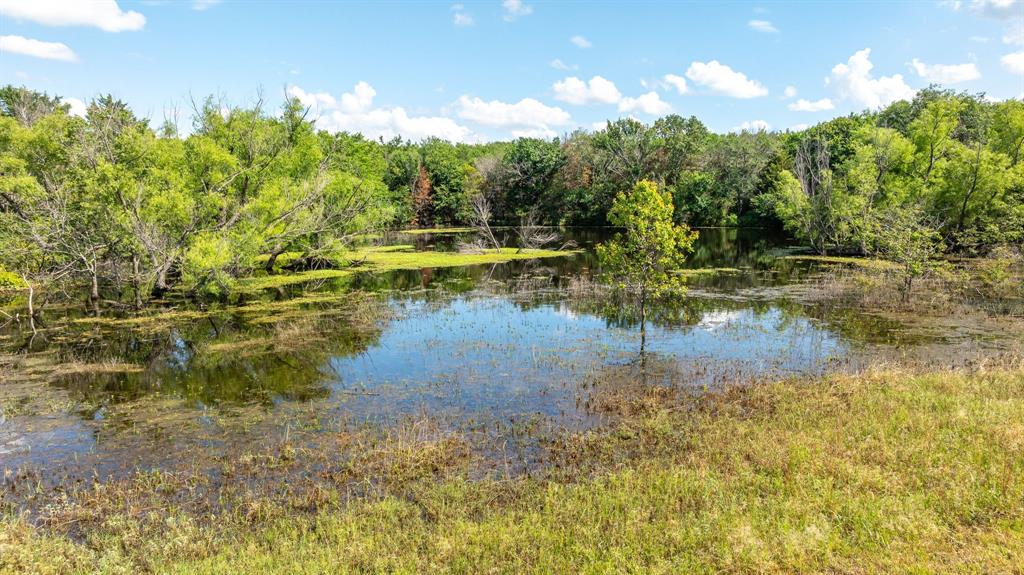 455 East Pilot Point Pilot Point, TX 76258 - Photo 6 of 31