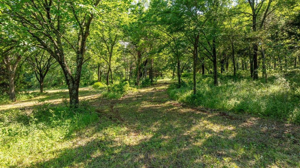 455 East Pilot Point Pilot Point, TX 76258 - Photo 10 of 31