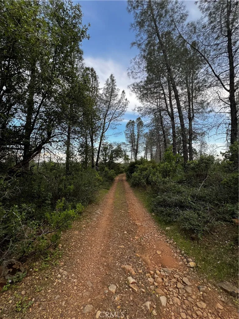 a view of a lake with a yard