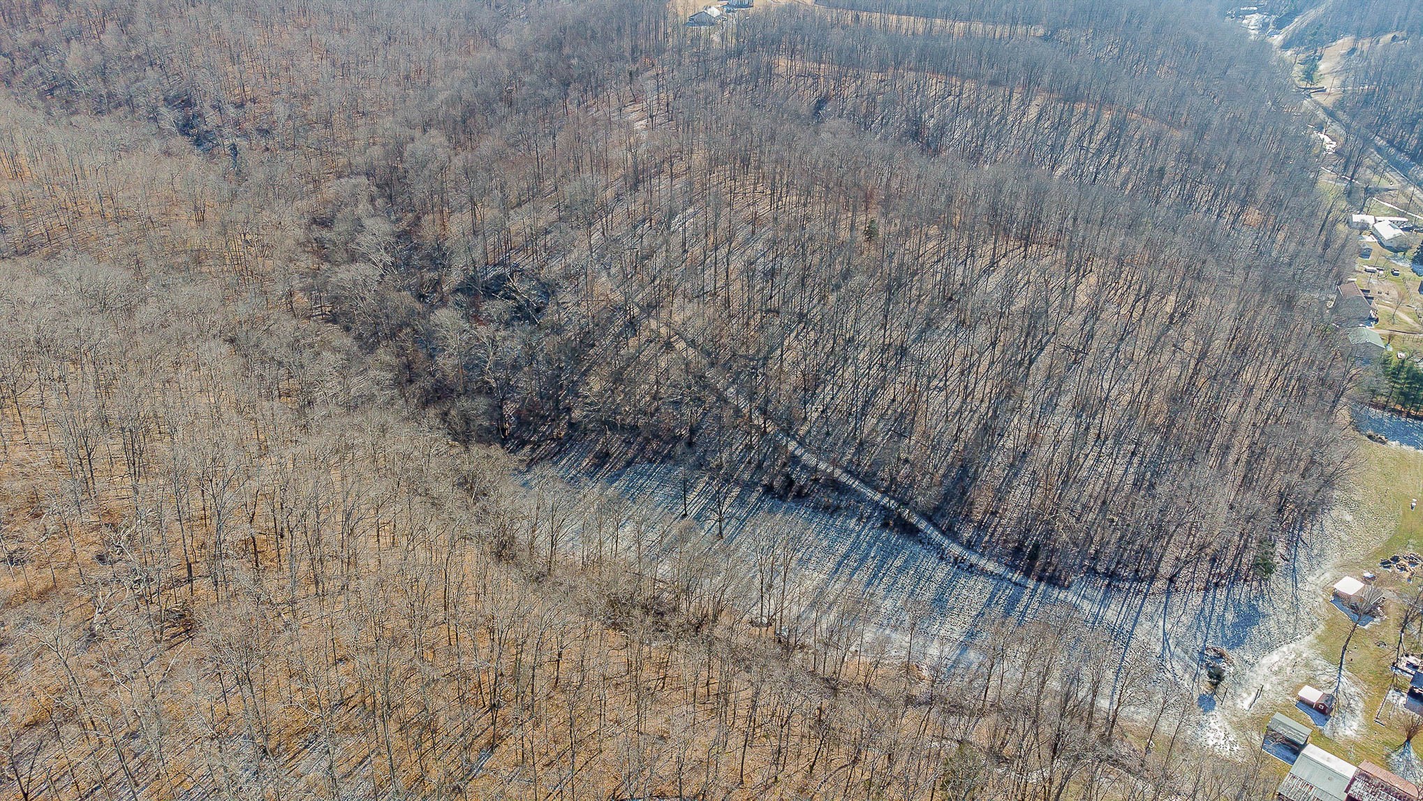 4100 Skelley Road Santa Fe, TN 38482 - Photo 21 of 25 a view of a dry yard