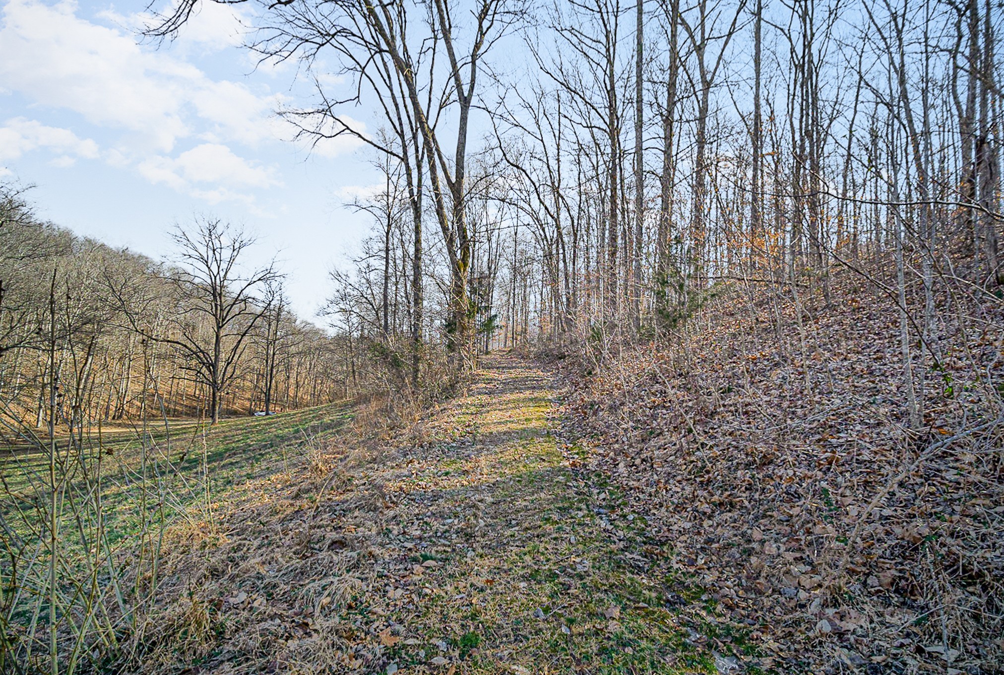 4100 Skelley Road Santa Fe, TN 38482 - Photo 5 of 25 a view of outdoor space and yard