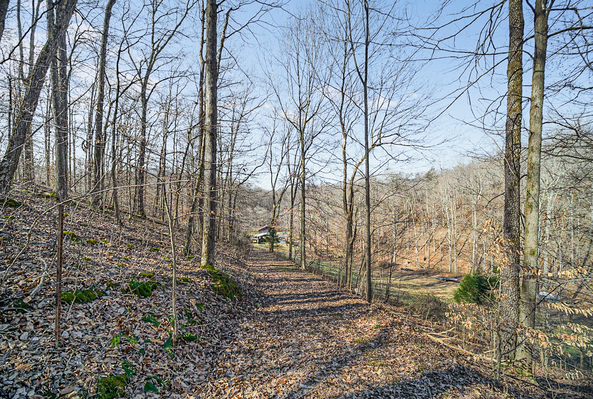 4100 Skelley Road Santa Fe, TN 38482 - Photo 7 of 25 a view of a pathway of a building