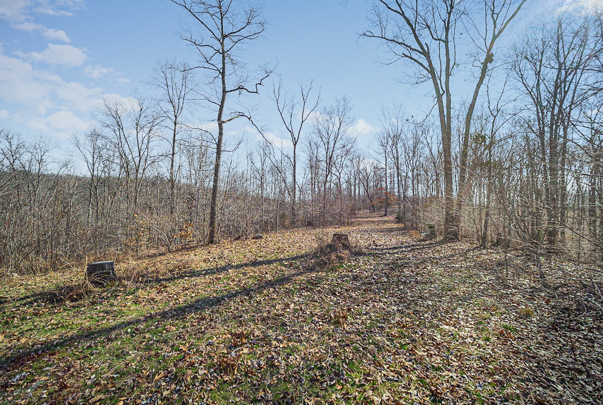4100 Skelley Road Santa Fe, TN 38482 - Photo 10 of 25 a backyard of a house