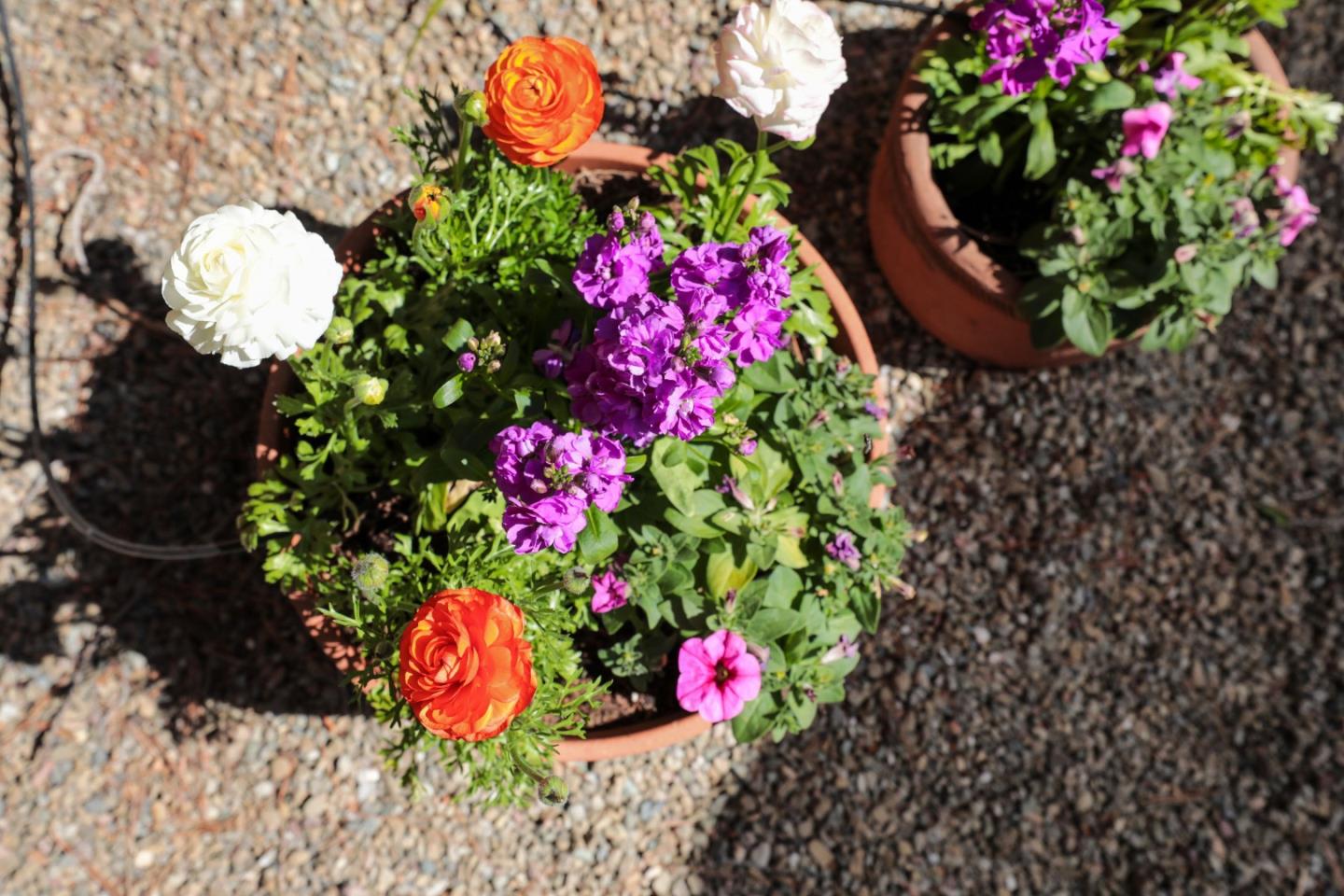 834 Cedro Way Stanford, CA 94305 - Photo 23 of 23