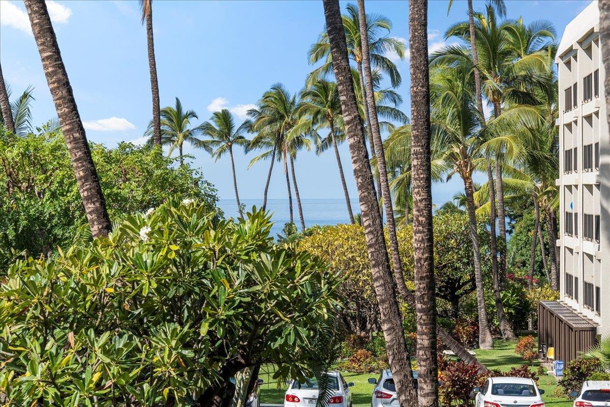2531 South Kihei Road, Unit D111 Kihei, HI 96753 - Photo 32 of 42