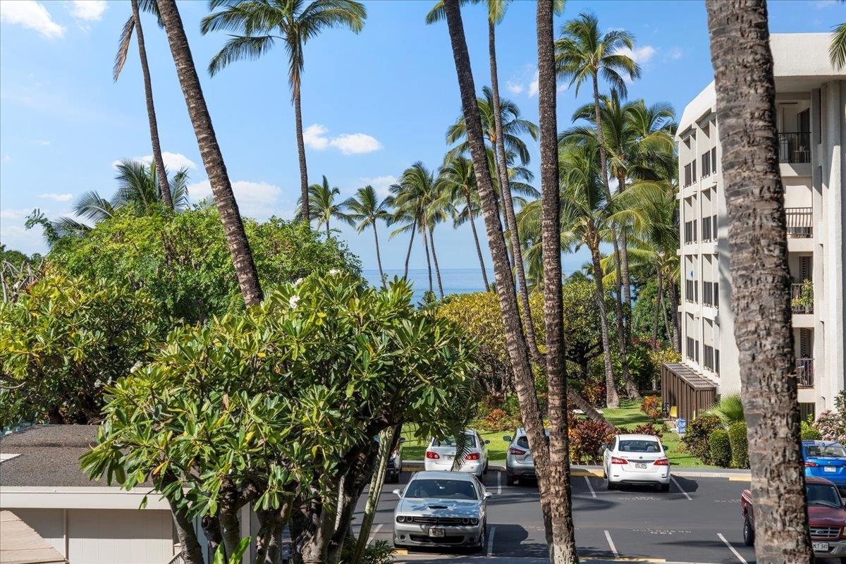 2531 South Kihei Road, Unit D111 Kihei, HI 96753 - Photo 33 of 42