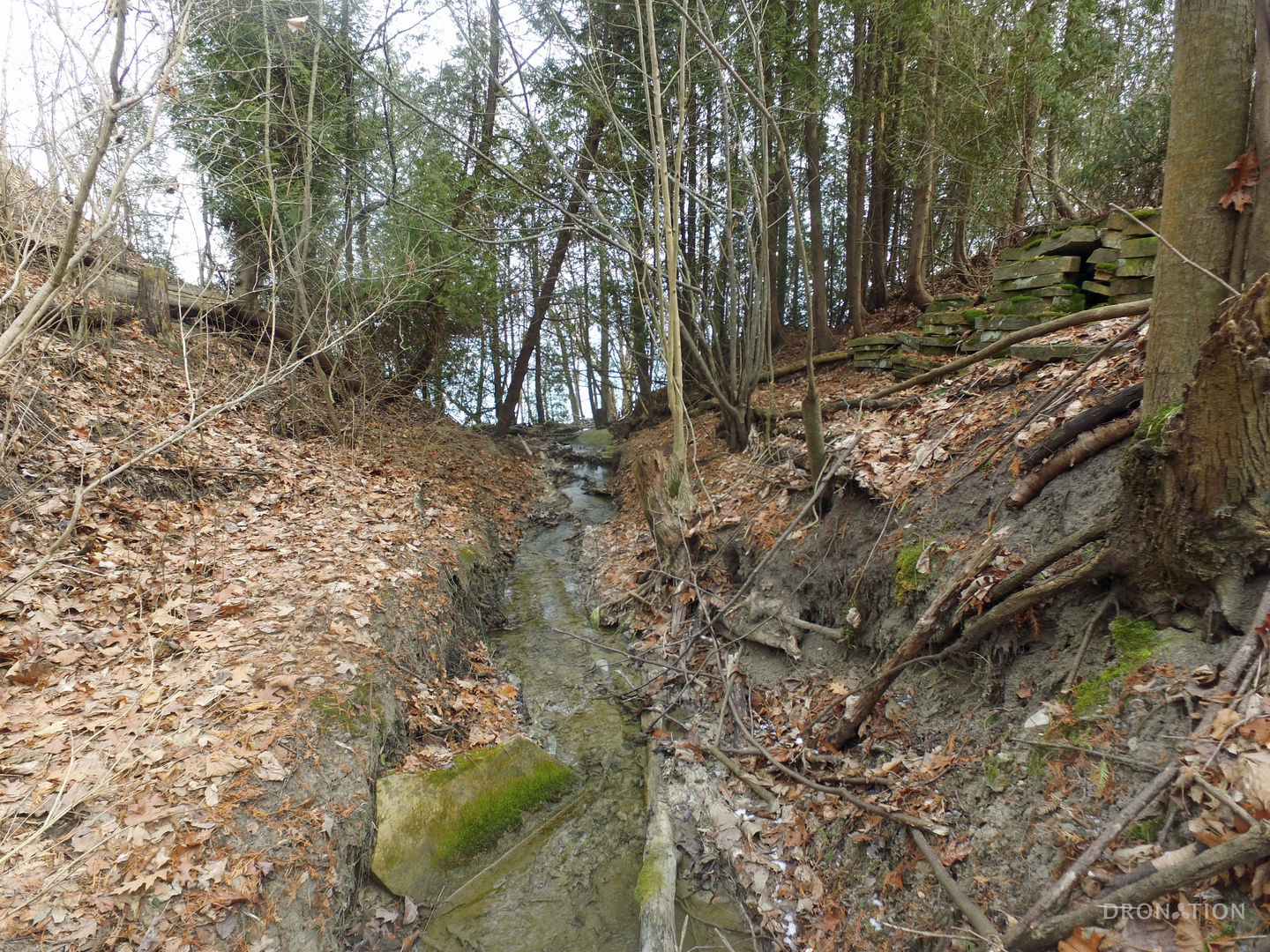 925 North Sheridan Road Lake Forest, IL 60044 - Photo 6 of 15