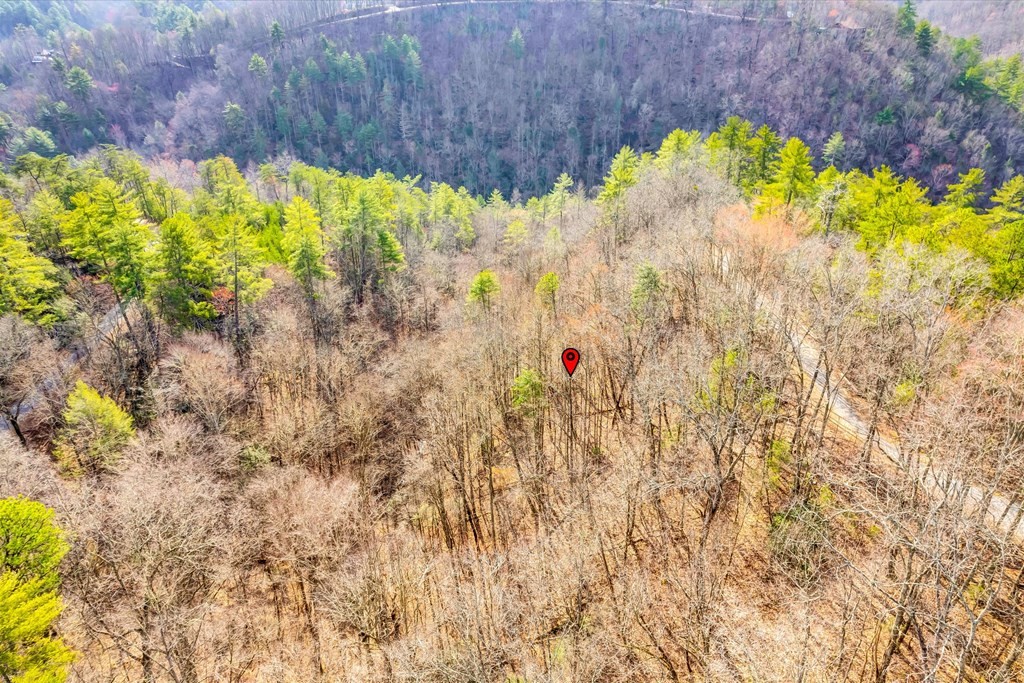 17 Meadow View Road Sevierville, TN 37862 - Photo 18 of 19 Gallery Image 18