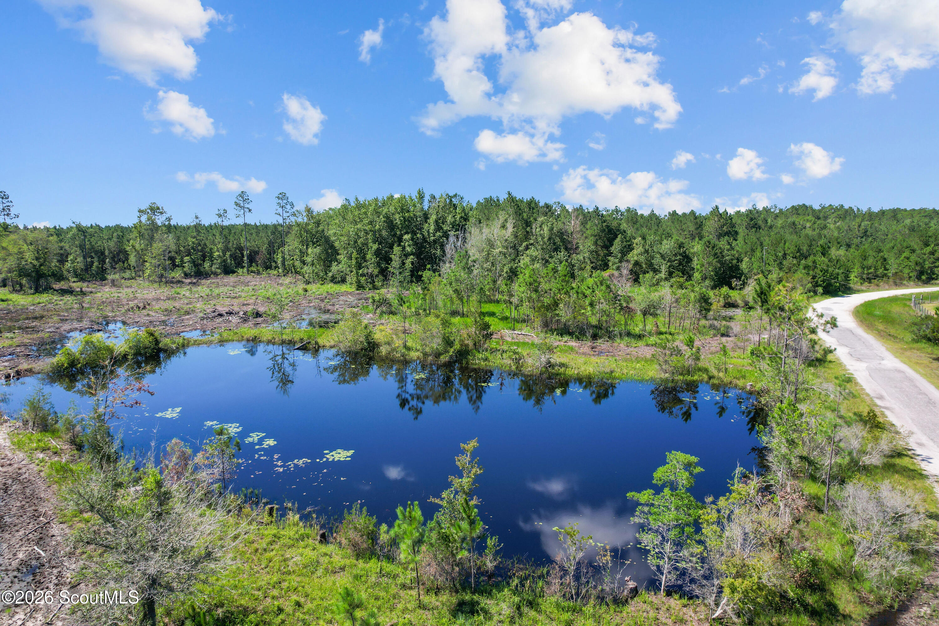 0 Waverly Farms Road Waverly, GA 31565 - Photo 16 of 16 DJI_0356