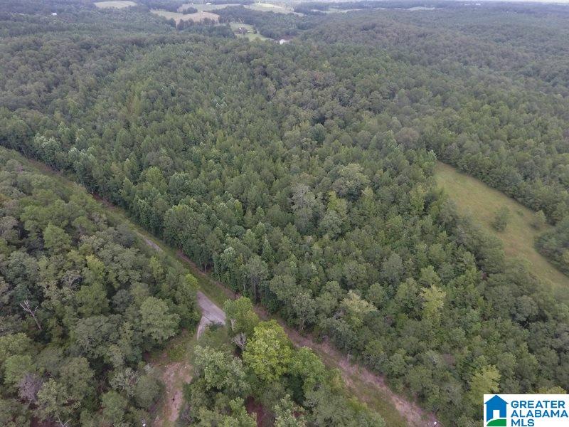 4312 County Road, Unit 17 Wedowee, AL 36278 - Photo 14 of 41