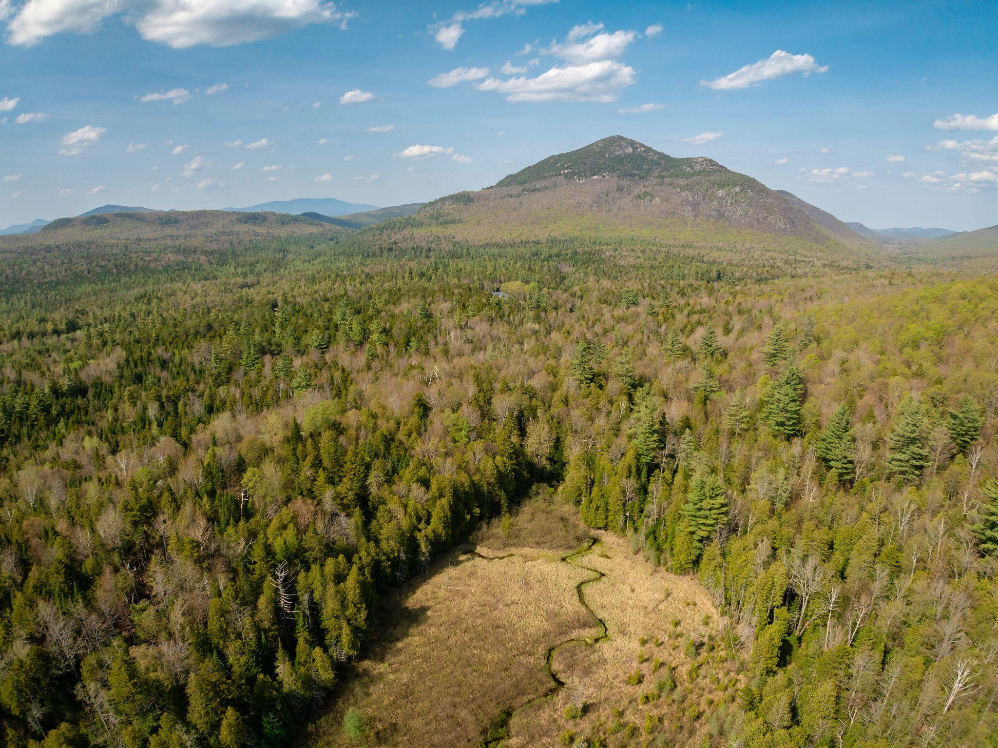 1147 Forestdale Road Au Sable Forks, NY 12912 - Photo 10 of 48 EXT-014_DJI_20260519035758_0781_D_edit
