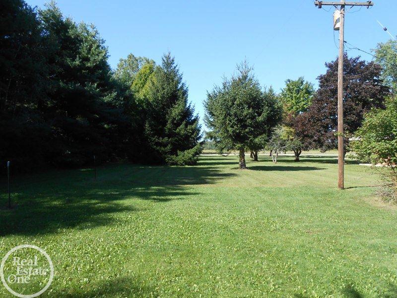 7425 Babcock Road Lexington, MI 48450 - Photo 16 of 38 31303855-15.JPG