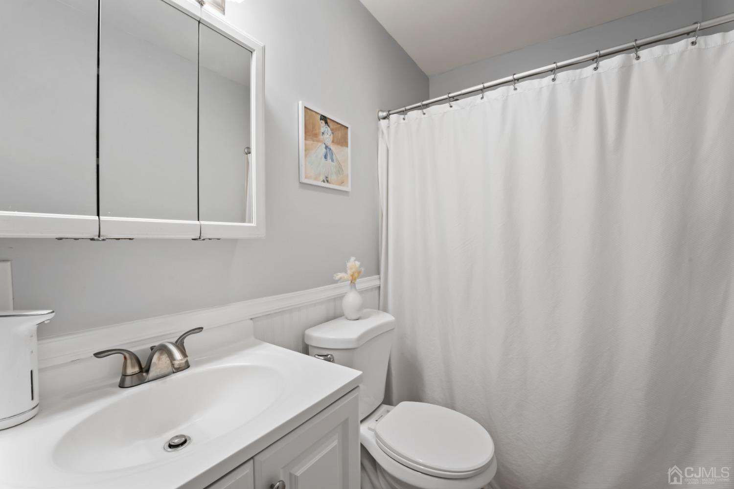 296 Colfax Road North Brunswick, NJ 08902 - Photo 27 of 37 a bathroom with a sink a toilet and shower curtain