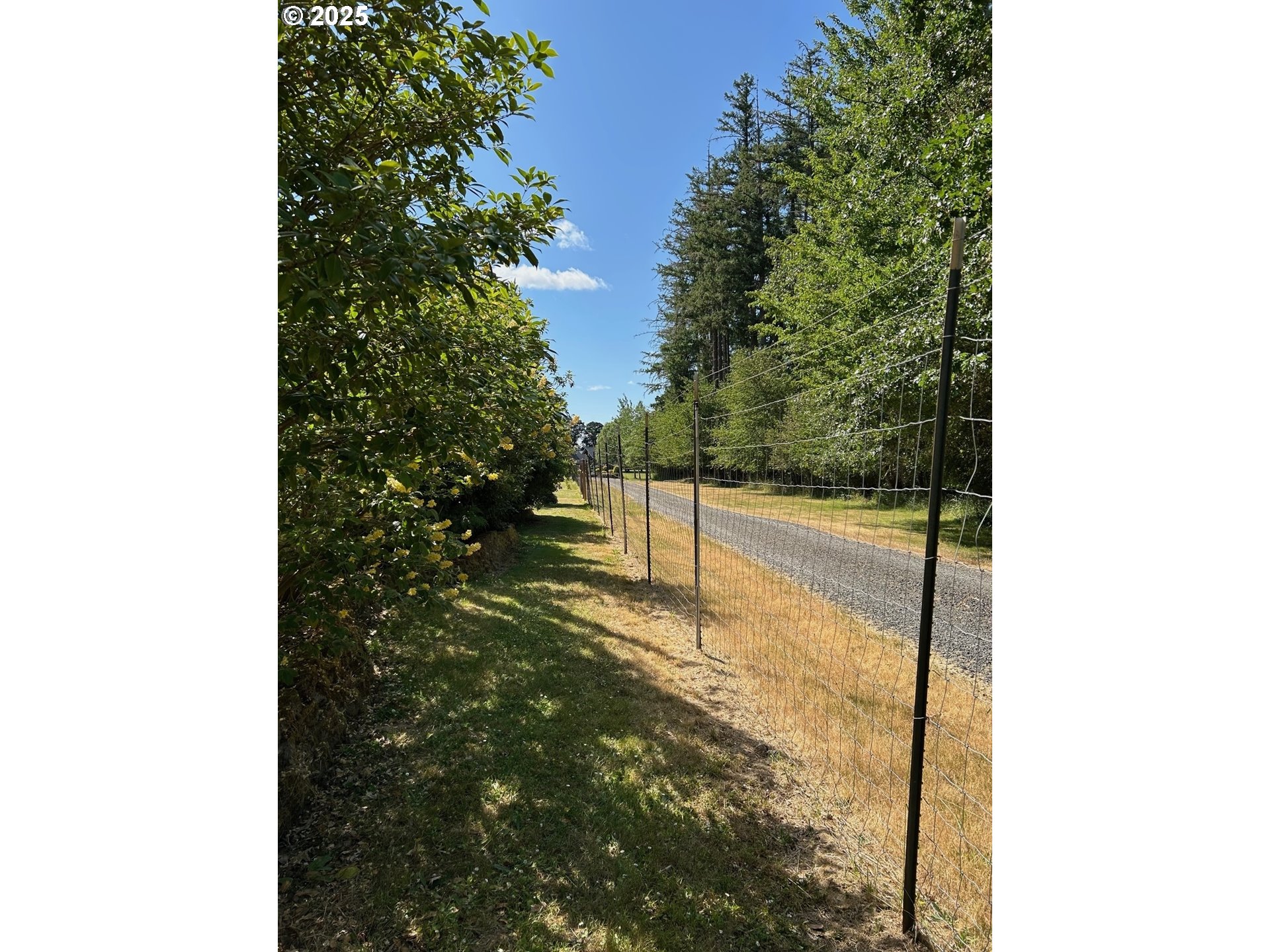 Jeans Road Veneta, OR 97487 - Photo 20 of 33