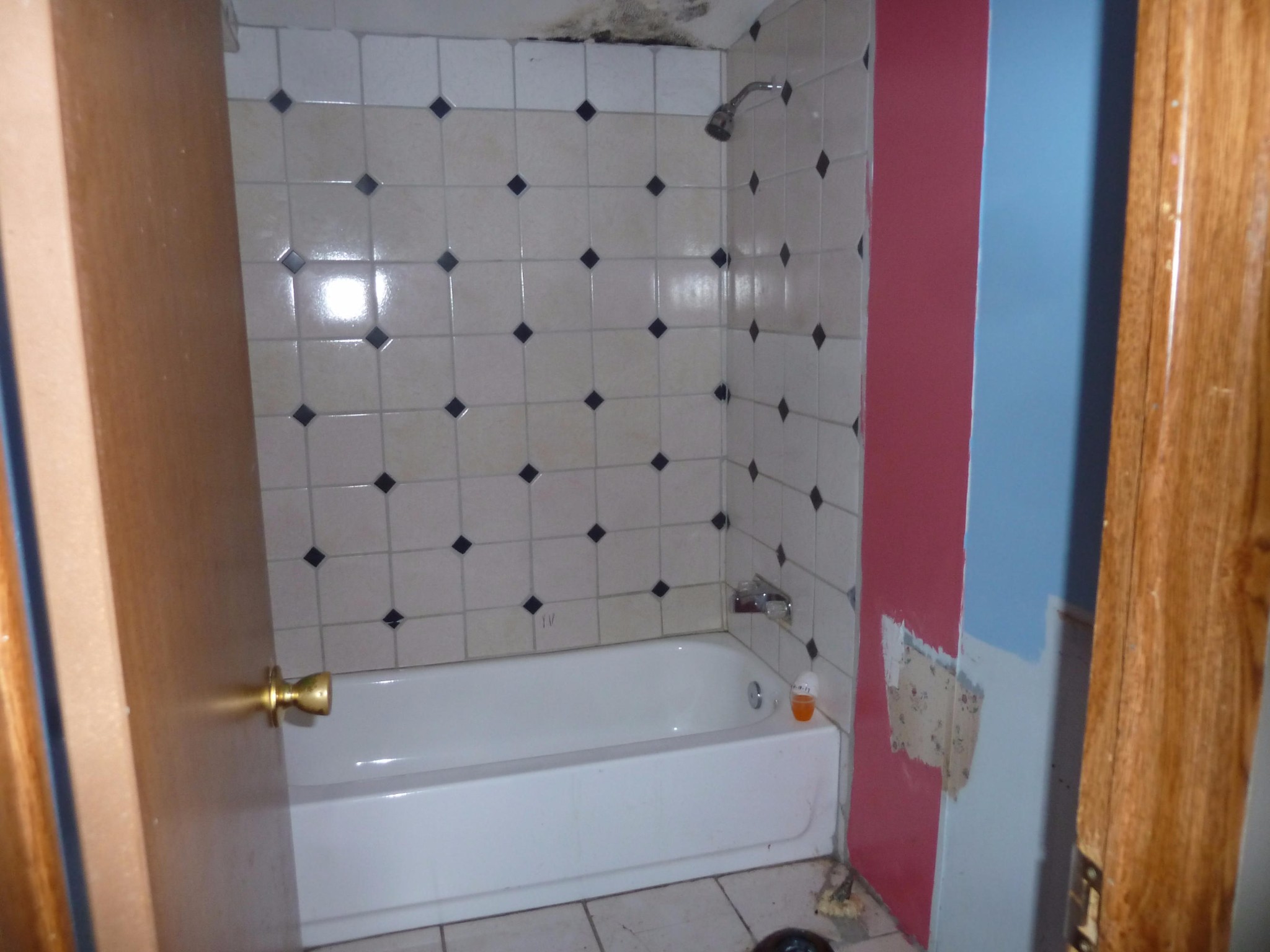 356 Eve Mill Road Philadelphia, TN 37846 - Photo 16 of 20 Gallery Image 16