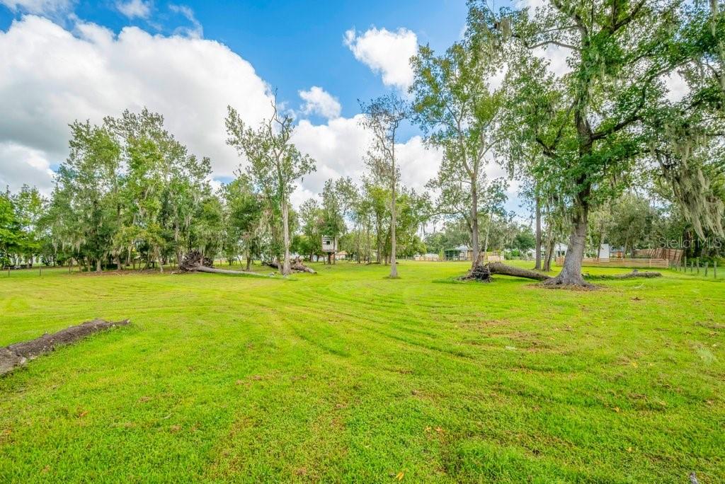 3011 Lewis Road Dover, FL 33527 - Photo 39 of 56 Gallery Image 39