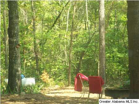 75 County Road 93 Verbena, AL 36091 - Photo 20 of 21